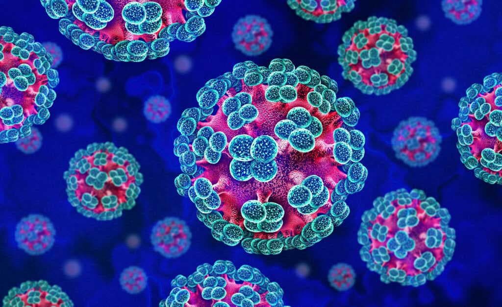 Hantavirus outbreak linked to MV Hondius: ICMR says virus poses no immediate danger to India