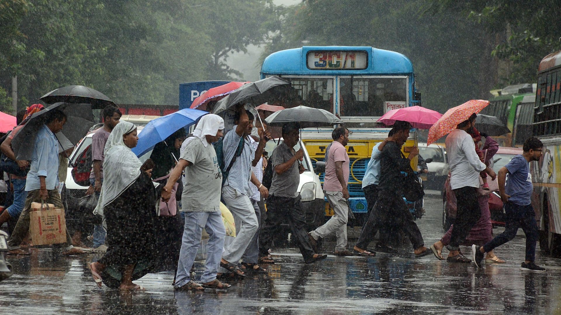 Pedestrians hold umbrellas while they cross the road amid heavy rain, in Kolkata