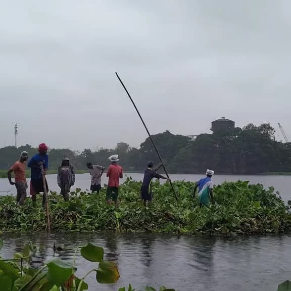 KMC restores Bikramgarh Jheel: Bhoomi’s Soumitra Ray hails cleanup of South Kolkata landmark