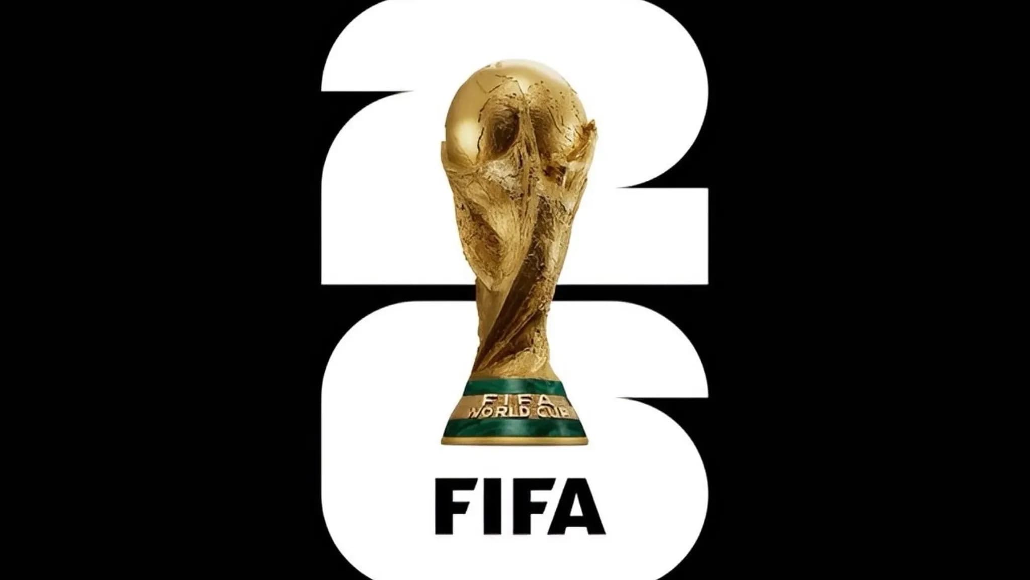 FIFA World Cup final pitch goes on sale for fans at premium price